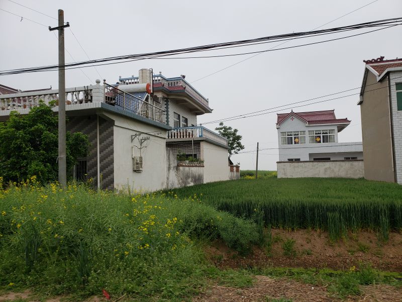 帛霞