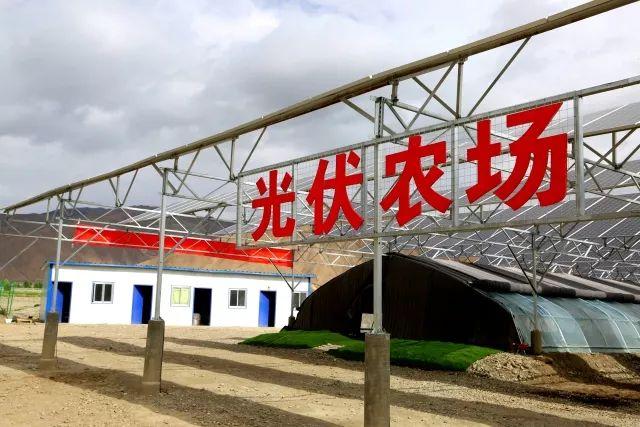学习园地 第8页