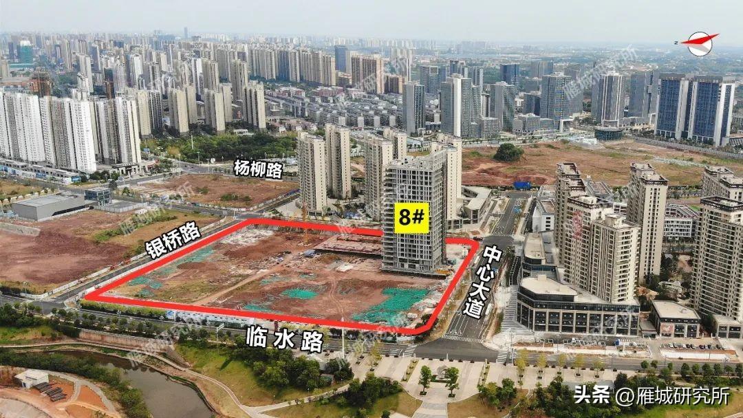 蒸湘区医疗保障局最新项目进展深度剖析
