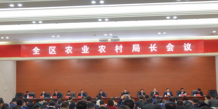 惠农区农业农村局领导团队全新亮相，工作展望与期待